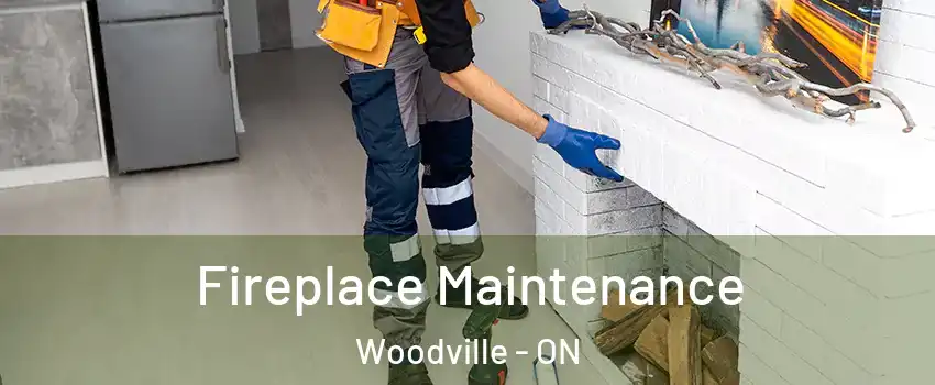  Fireplace Maintenance Woodville - ON