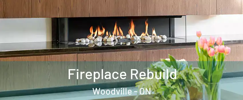  Fireplace Rebuild Woodville - ON