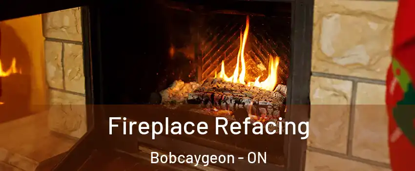  Fireplace Refacing Bobcaygeon - ON