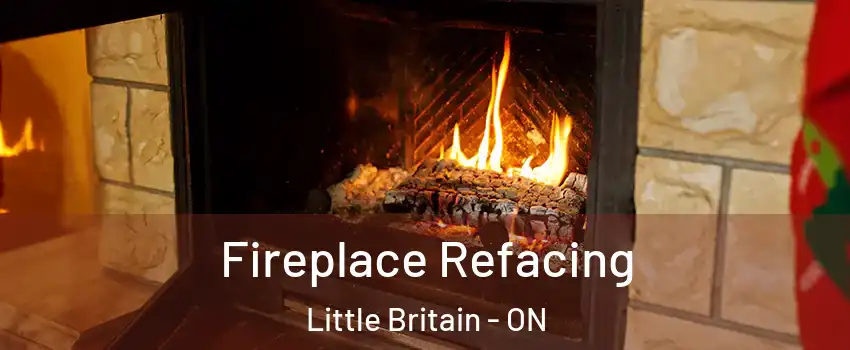  Fireplace Refacing Little Britain - ON