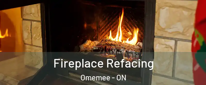  Fireplace Refacing Omemee - ON