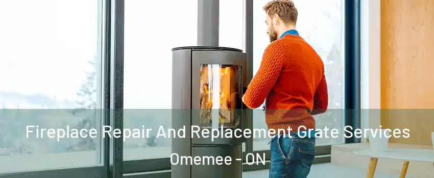  Fireplace Repair And Replacement Grate Services Omemee - ON