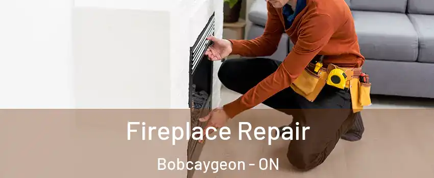  Fireplace Repair Bobcaygeon - ON