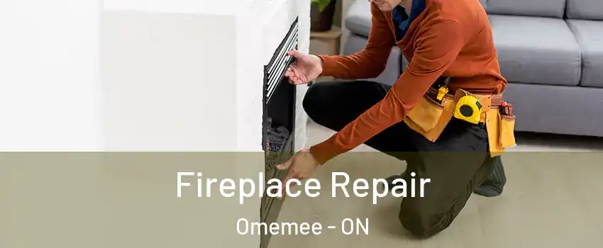  Fireplace Repair Omemee - ON