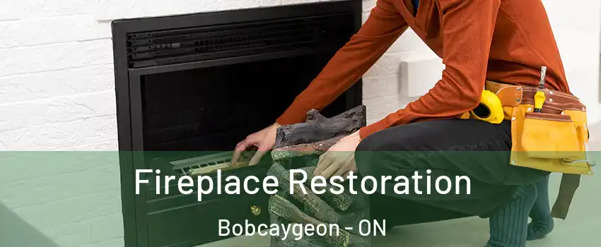  Fireplace Restoration Bobcaygeon - ON