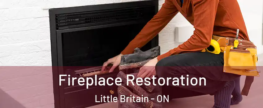  Fireplace Restoration Little Britain - ON