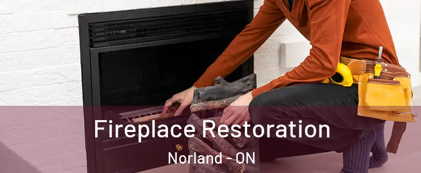  Fireplace Restoration Norland - ON