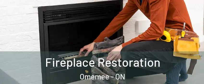  Fireplace Restoration Omemee - ON