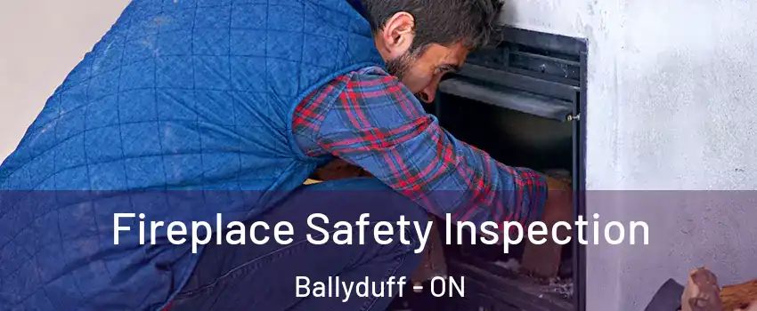  Fireplace Safety Inspection Ballyduff - ON