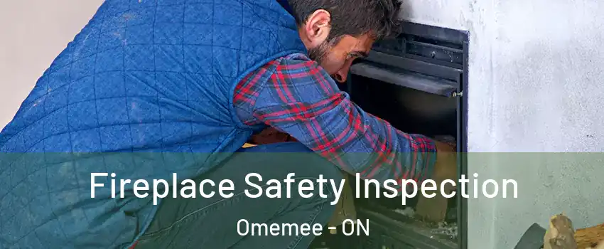  Fireplace Safety Inspection Omemee - ON
