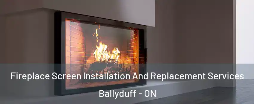 Fireplace Screen Installation And Replacement Services Ballyduff - ON