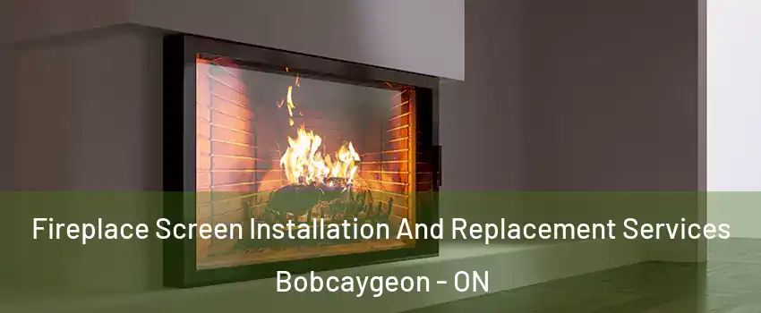 Fireplace Screen Installation And Replacement Services Bobcaygeon - ON