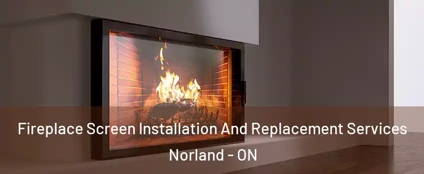 Fireplace Screen Installation And Replacement Services Norland - ON