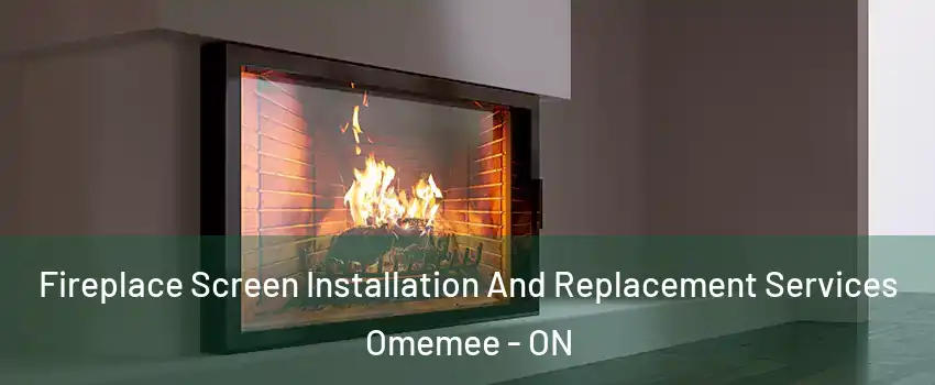 Fireplace Screen Installation And Replacement Services Omemee - ON