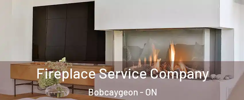  Fireplace Service Company Bobcaygeon - ON