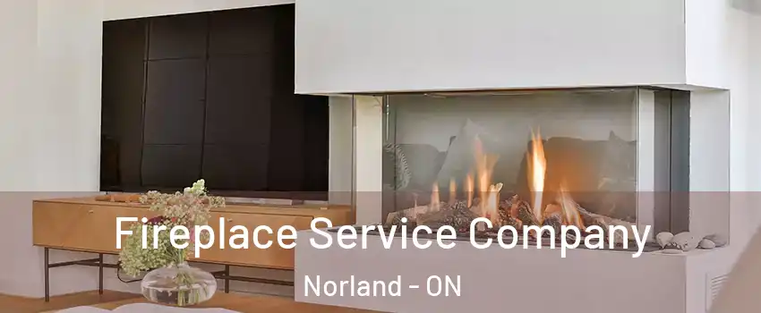  Fireplace Service Company Norland - ON