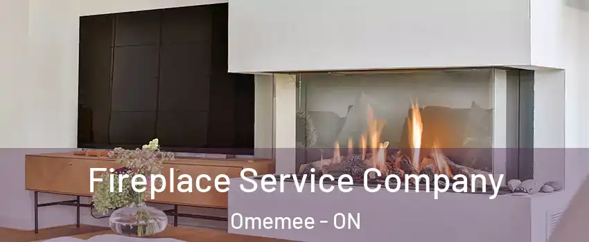  Fireplace Service Company Omemee - ON