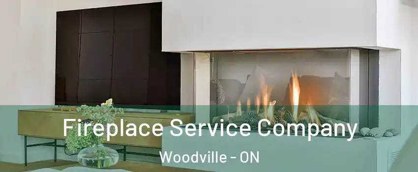  Fireplace Service Company Woodville - ON