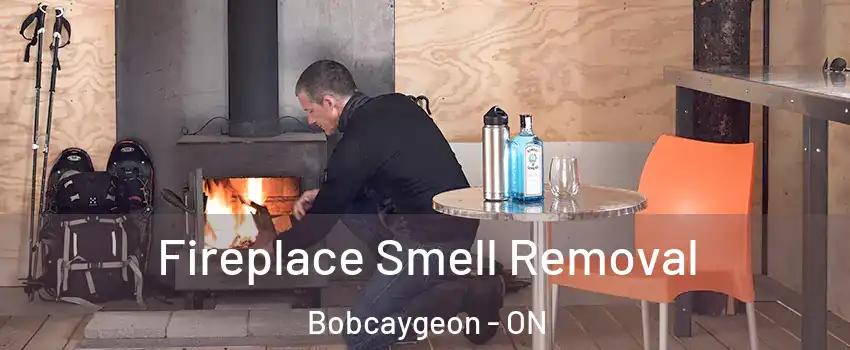  Fireplace Smell Removal Bobcaygeon - ON