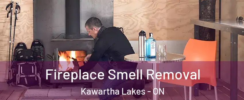  Fireplace Smell Removal Kawartha Lakes - ON