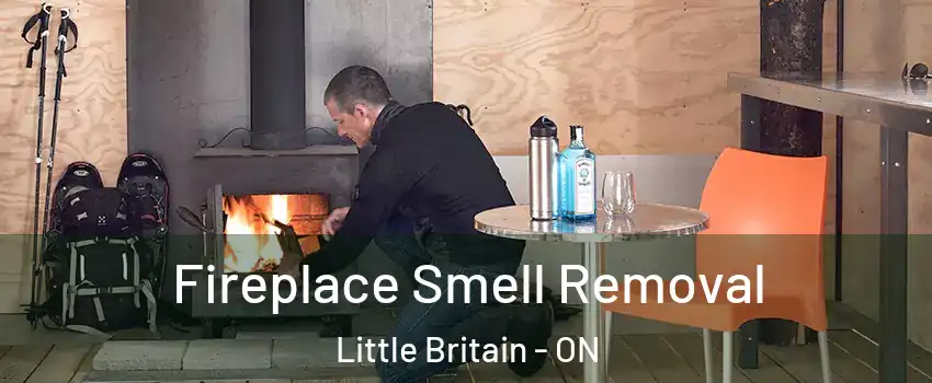  Fireplace Smell Removal Little Britain - ON