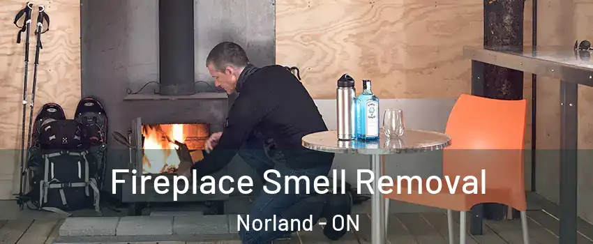  Fireplace Smell Removal Norland - ON