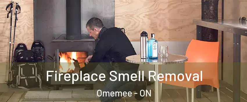  Fireplace Smell Removal Omemee - ON