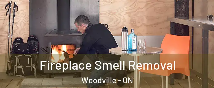  Fireplace Smell Removal Woodville - ON