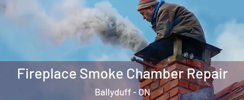  Fireplace Smoke Chamber Repair Ballyduff - ON