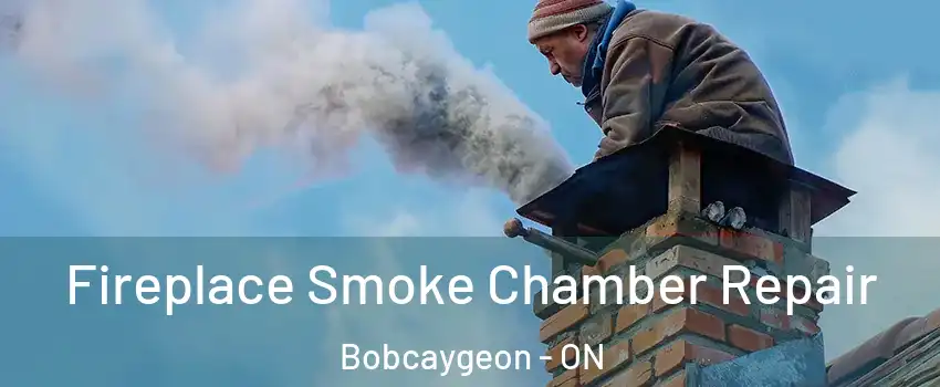  Fireplace Smoke Chamber Repair Bobcaygeon - ON