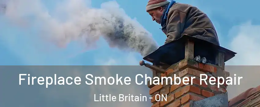  Fireplace Smoke Chamber Repair Little Britain - ON