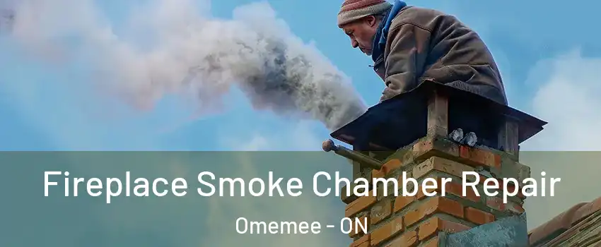  Fireplace Smoke Chamber Repair Omemee - ON