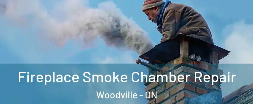  Fireplace Smoke Chamber Repair Woodville - ON