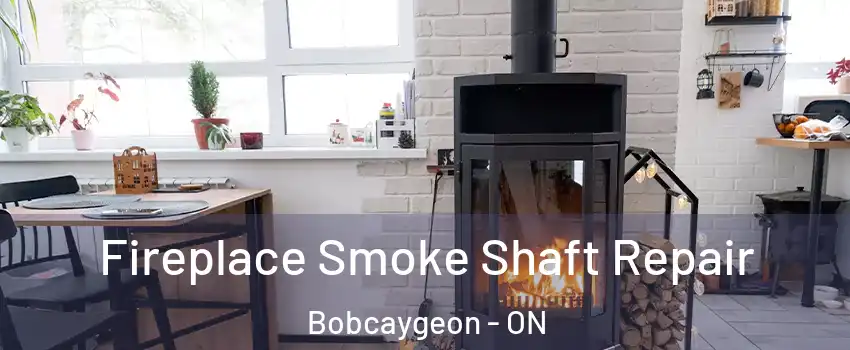  Fireplace Smoke Shaft Repair Bobcaygeon - ON
