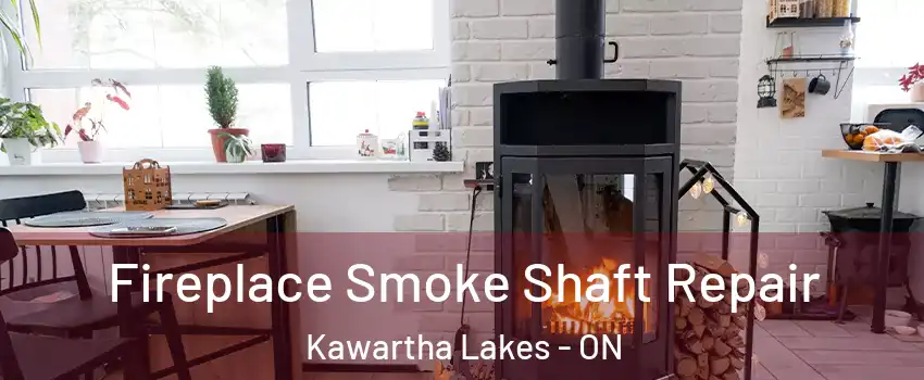  Fireplace Smoke Shaft Repair Kawartha Lakes - ON
