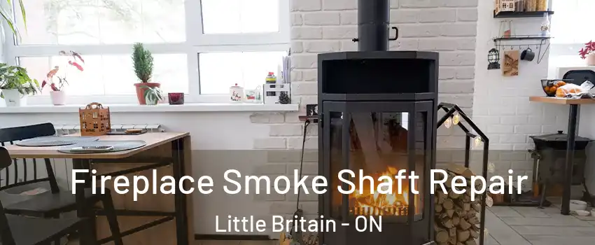  Fireplace Smoke Shaft Repair Little Britain - ON