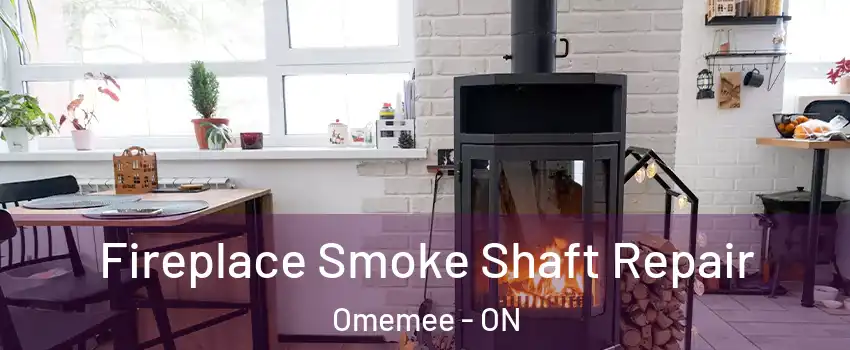  Fireplace Smoke Shaft Repair Omemee - ON