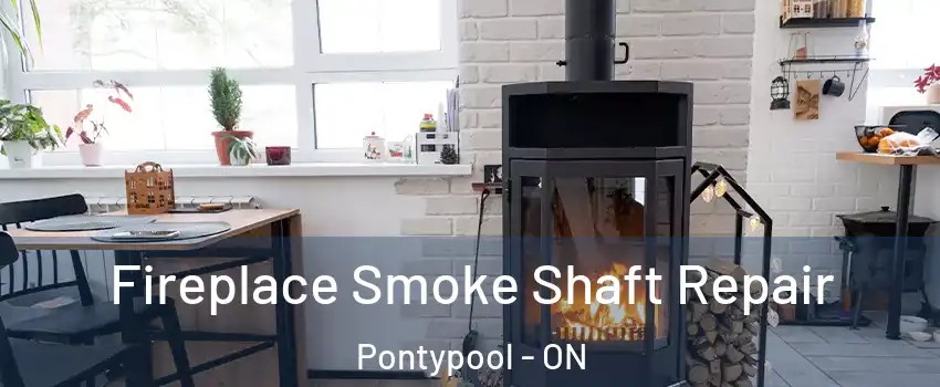 Fireplace Smoke Shaft Repair Pontypool - ON