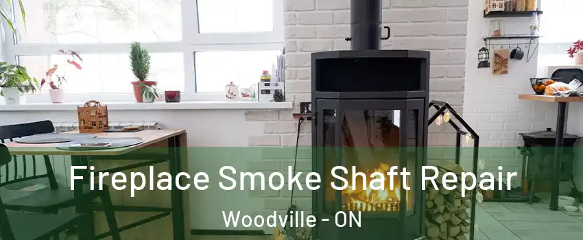  Fireplace Smoke Shaft Repair Woodville - ON