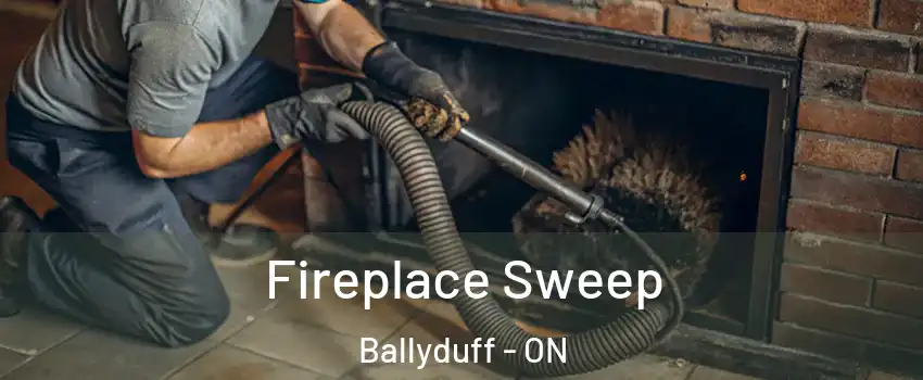  Fireplace Sweep Ballyduff - ON