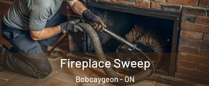  Fireplace Sweep Bobcaygeon - ON