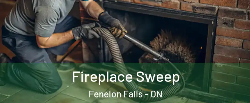  Fireplace Sweep Fenelon Falls - ON