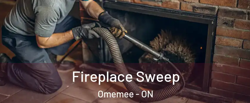  Fireplace Sweep Omemee - ON