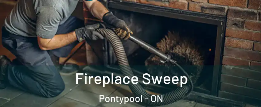  Fireplace Sweep Pontypool - ON