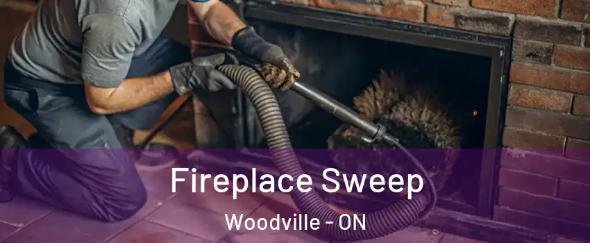  Fireplace Sweep Woodville - ON