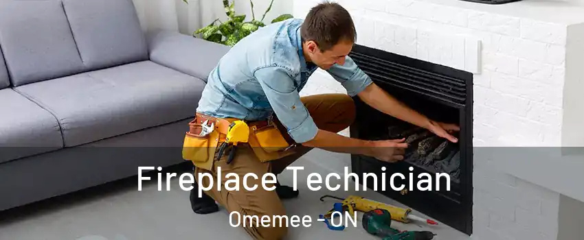 Fireplace Technician Omemee - ON