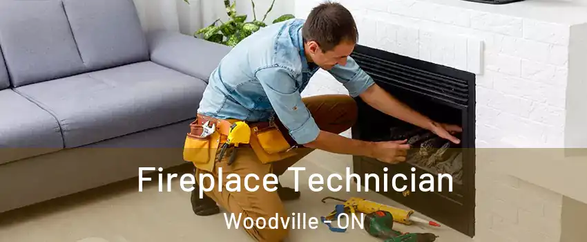Fireplace Technician Woodville - ON