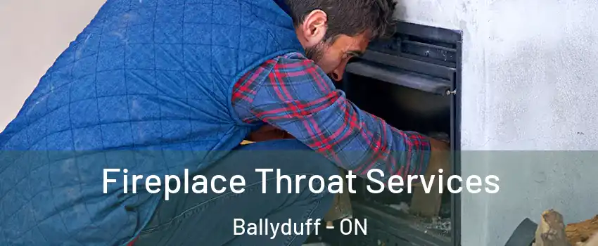  Fireplace Throat Services Ballyduff - ON