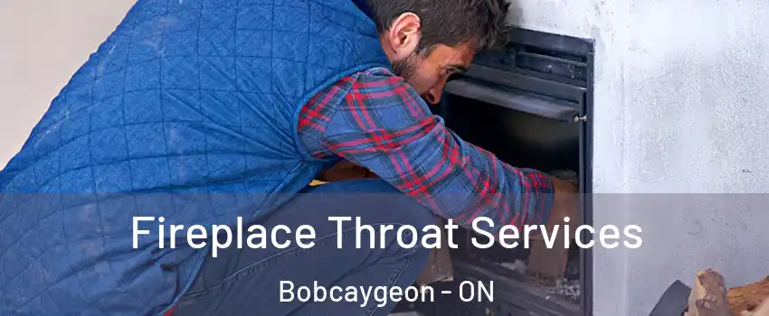  Fireplace Throat Services Bobcaygeon - ON