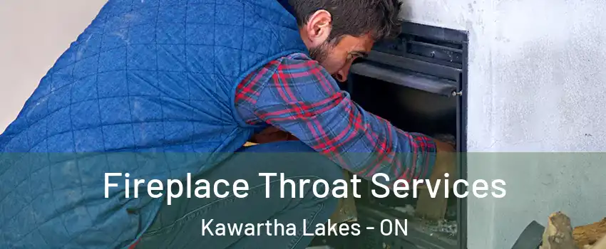  Fireplace Throat Services Kawartha Lakes - ON